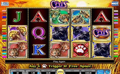 Cats Screenshot