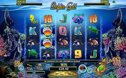 Dolphin Gold Screenshot