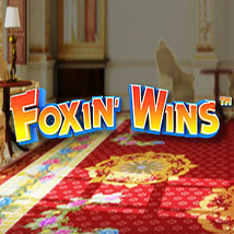 Foxin-Wins