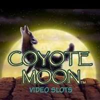 Coyote Moon