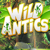 Wild-Antics