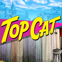 Top-Cat