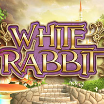 White-Rabbit