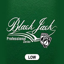 Blackjack Professional low