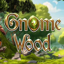 Gnome-Wood