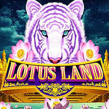 Lotus-Land