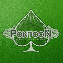 Pontoon-Professional