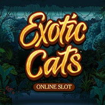 exotic cats