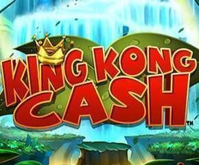 Kingkong Cash