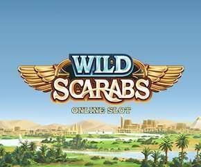 Wild Scarabs