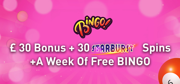 Online Bingo Banner