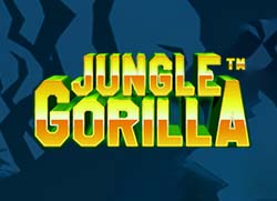 Jungle gorilla