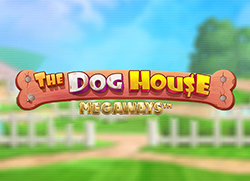 The dog house megaways