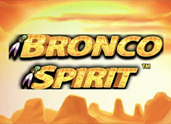 Bronco Spirit