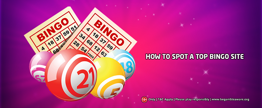 Factors to Consider When Choosing An Online Bingo Site