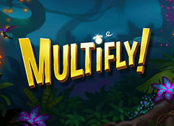 Multifly