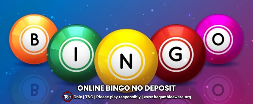 Should I Go For Online Bingo No Deposit Sites? How Do They Work?