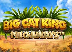 Big Cat Megaways