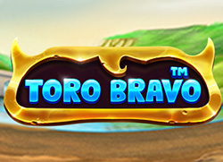 Toro Bravo