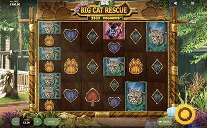 Big-Cat-Rescue-Megaways Screenshot
