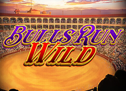 Bull's-Run-Wild-250x181