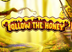 Follow-the-Honey-250x181