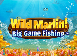 Wild-Marlin!-Big-Game-Fishing-250x181