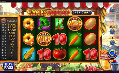 Flaming-Tomatoes-Cash-Shot-94 Screenshot